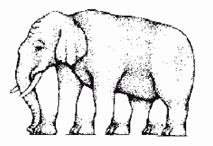 elephant illusion