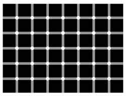illusion optique