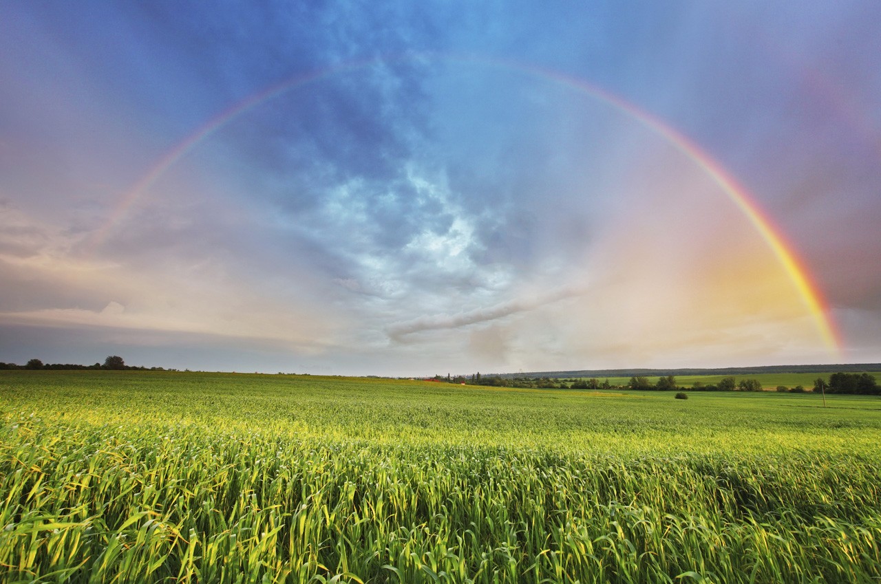 L'arc-en-ciel