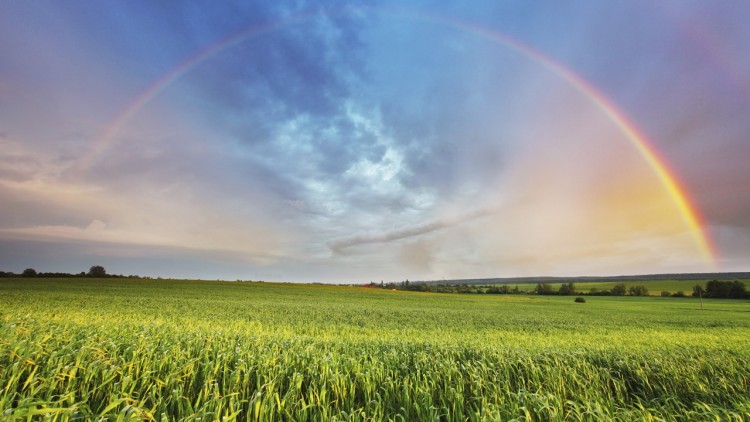 L'arc-en-ciel